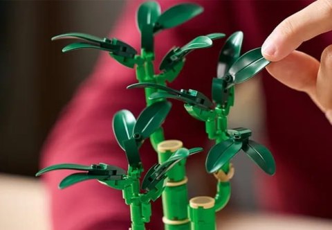 10344 - LEGO THE BOTANICAL COLLECTION - DRACENA SANDERA 10344 - LEGO THE BOTANICAL COLLECTION - DRACENA SANDERA