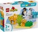 10442 - LEGO DUPLO - RODZINY DZIKICH ZWIERZĄT: PINGWINY I LWY
