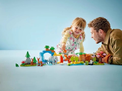 10446 - LEGO DUPLO - RODZINY DZIKICH ZWIERZĄT 3 W 1 10446 - LEGO DUPLO - RODZINY DZIKICH ZWIERZĄT 3 W 1