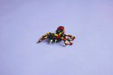 31159 - LEGO CREATOR - DZIKIE ZWIERZĘTA: NIEZWYKŁY PAJĄK