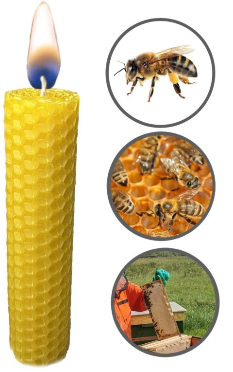 ŚWIECA Z WOSKU PSZCZELEGO - 1 SZT.