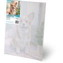 OBRAZ DO MALOWANIA PO NUMERACH 40X50 CM MASSIDO PIESEK CORGI
