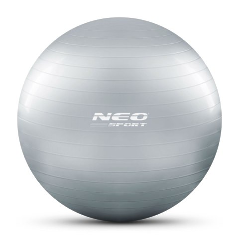 PIŁKA DO ĆWICZEŃ 75 CM NS-952 SREBRNA PIŁKA DO ĆWICZEŃ 75 CM NS-952 SREBRNA