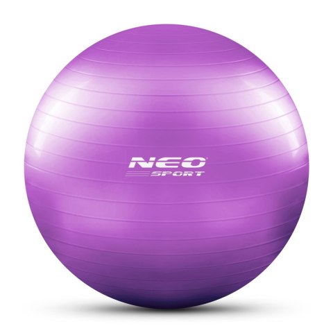 PIŁKA DO ĆWICZEŃ 65 CM NS-951 FIOLETOWA PIŁKA DO ĆWICZEŃ 65 CM NS-951 FIOLETOWA