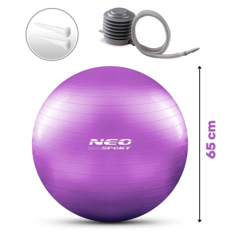 PIŁKA DO ĆWICZEŃ 65 CM NS-951 FIOLETOWA PIŁKA DO ĆWICZEŃ 65 CM NS-951 FIOLETOWA
