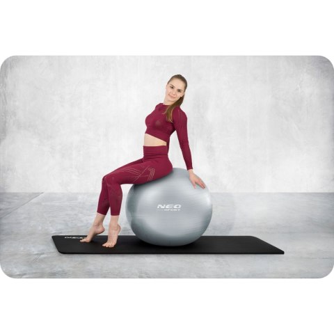 PIŁKA DO ĆWICZEŃ 65 CM NS-951 SREBRNA PIŁKA DO ĆWICZEŃ 65 CM NS-951 SREBRNA