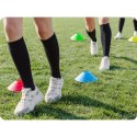 STOŻKI TRENINGOWE PACHOŁKI 50 SZT NEO-SPORT NS-968