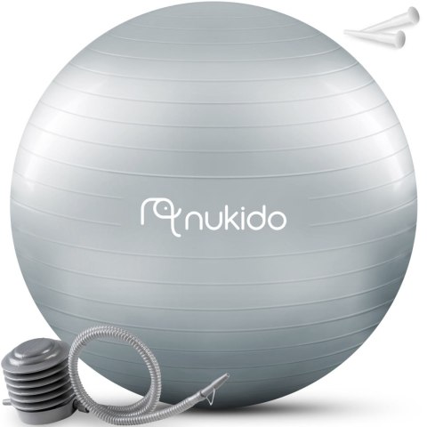 PIŁKA CIĄŻOWA DO AEROBIKU 65 CM NS-951 SZARA PIŁKA CIĄŻOWA DO AEROBIKU 65 CM NS-951 SZARA
