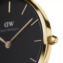 ZEGAREK DAMSKI DANIEL WELLINGTON DW00100347 - PETITE EVERGOLD 32MM (ZW500E)