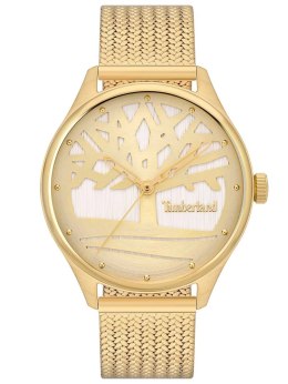 ZEGAREK DAMSKI TIMBERLAND LINCOLNDALE TBL.TDWLG2200302 + BOX