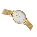 ZEGAREK DAMSKI DANIEL WELLINGTON DW00100346 - PETITE EVERGOLD 36MM