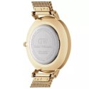 ZEGAREK DAMSKI DANIEL WELLINGTON DW00100346 - PETITE EVERGOLD 36MM