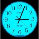 ZEGAREK MĘSKI TIMEX EASY READER 38MM T20501 + BOX