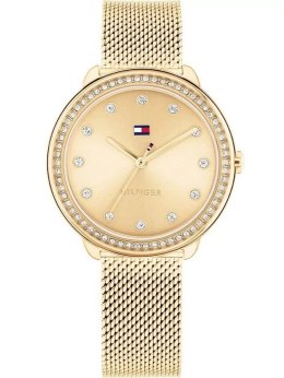 ZEGAREK DAMSKI TOMMY HILFIGER 1782699 DEMI (ZF609A) + BOX