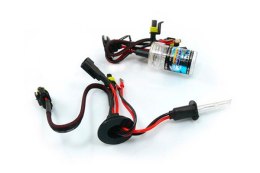 01418 HID ŻARNIK H1 8000K xENONOWY