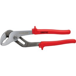 28581 SZCZY PCE NASTAWNE 250MM DO RUR, 2 CALE, PROLINE