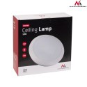 PLAFON LED MACLEAN, LAM PA SUFITOWA, ŚCIANA ZEWNĘTRZNA, IP66, 16W, MCE144