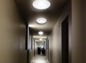 PLAFON LED Z CZUJNIKIEM RUCHU I ZASILANIEM AWARYJNYM MACLEAN, CZUJNIK PIR I ZASILANIE AWARYJNE, ZASIĘG 6M, 12W, BARWA NEUTRALNA