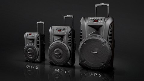AKTYWNA KOLUMNA GŁOŚNIKOWA (Z 2 MIKROFONAMI BEZ PRZEWODOWYMI UHF, SD, BLUETOOTH, FM, USB) 40 WATT AKTYWNA KOLUMNA GŁOŚNIKOWA (Z 2 MIKROFONAMI BEZ PRZEWODOWYMI UHF, SD, BLUETOOTH, FM, USB) 40 WATT
