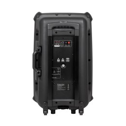 AKTYWNA KOLUMNA GŁOŚNIKOWA (Z 2 MIKROFONAMI BEZ PRZEWODOWYMI UHF, SD, BLUETOOTH, FM, USB) 60 WATT