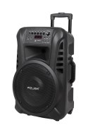 KOLUMNA AKTYWNA ( Z 2 MIKROFONAMI BEZ PRZEWODOWYMI, SD, BLUETOOTH, USB) 12" 40W KOLUMNA AKTYWNA ( Z 2 MIKROFONAMI BEZ PRZEWODOWYMI, SD, BLUETOOTH, USB) 12" 40W