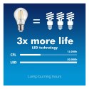 ŻARÓWKA MACLEAN, FILAMENTOWA LED E14, 6W, 230V, WW CIE PŁA BIAŁA 3000K, 806LM, RETRO EDISON OZDOBNA ŚWIECZKA C35, MCE286