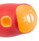 WKRĘTAK  PŁASKI 1000V, 4.0 x 100 MM, S2