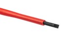 WKRĘTAK  PŁASKI 1000V, 4.0 x 100 MM, S2