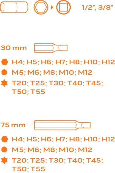 KOŃCÓWKI WKRĘTAKOWE 30-75 MM, ZESTAW 40 SZT., WKŁADKA KOŃCÓWKI WKRĘTAKOWE 30-75 MM, ZESTAW 40 SZT., WKŁADKA