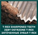 SZ PADEL OSTRY, DREWNIANY TRZONEK, T-REx