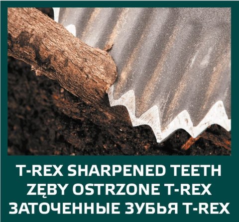 SZ PADEL OSTRY, DREWNIANY TRZONEK, T-REx SZ PADEL OSTRY, DREWNIANY TRZONEK, T-REx