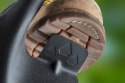 SZ PADEL OSTRY, DREWNIANY TRZONEK, T-REx