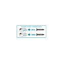 WIERTARKO-WKRĘTARKA AKUMULATOROWA ENERGY+ 18V, LI-ION, UCHWYT SAMOZACISKOWY 13 MM, BEZ AKUMULATORA