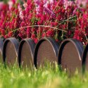 OBRZEŻE OGRODOWE GARDEN LINE IKRA 10M BRĄZOWE OBRZEŻE OGRODOWE GARDEN LINE IKRA 10M BRĄZOWE