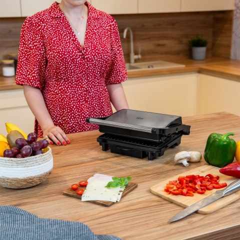 PANINI GRILL PANINI GRILL