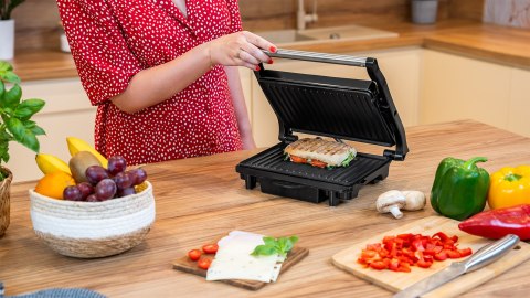 PANINI GRILL PANINI GRILL