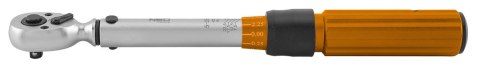 KLUCZ DYNAMOMETRYCZNY DWUKIERUNKOWY 1/4", 5-25NM, ZESTAW 21 SZT. KLUCZ DYNAMOMETRYCZNY DWUKIERUNKOWY 1/4", 5-25NM, ZESTAW 21 SZT.