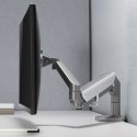 UCHWYT BIURKOWY DO MONITORA SZARY ERGO OFFICE, ZE S PRĘŻYNĄ, 17"-32", 9 KG, ER-405G
