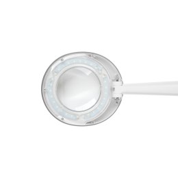 LAM PA Z LU PĄ NA STÓŁ 5D 6W REBEL , 6500K