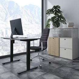 BIURKO ELEKTRYCZNE Z  POJEDYNCZYM SILNIKIEM ERGO OFFICE, DO  PRACY W  POZYCJI STOJĄCEJ, MAx. 80KG, MAx. WYS. 1160MM, ER-443