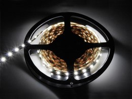 70-960# TAŚMA LED BIAŁY ZIMNY 5050 5M/300