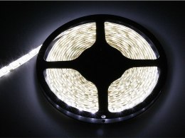 70-976# TAŚMA LED BIAŁY ZIMNY 5050 5M/300WODOOD PORNA