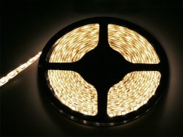 70-981# TAŚMA LED BIAŁY ZIMNY 5050 5M/300WODOOD PORNA