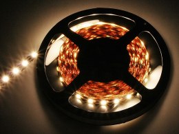 70-992# TAŚMA LED BIAŁY CIE PŁY 5050 5M/300