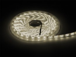 70-730# TAŚMA LED BIAŁY CIE PŁY 2835 5M/300WODOOD PORNA