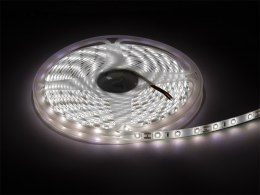 70-731# TAŚMA LED BIAŁY ZIMNY 2835 5M/300WODOOD PORNA