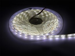 70-732# TAŚMA LED BIAŁY NEUTRALNY 2835 5M/300WODOOD PORNA