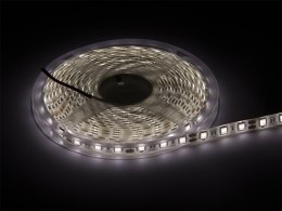 70-734# TAŚMA LED BIAŁY NEUTRALNY 5050 5M/300 WODOOD PORNA