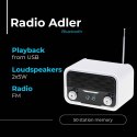 AD 1185 RADIO BLUETOOTH