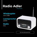 AD 1185 RADIO BLUETOOTH